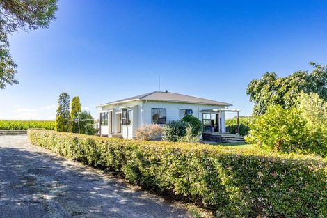 Photo of property in 421 Green Road, Rongotea, Palmerston North, 4476