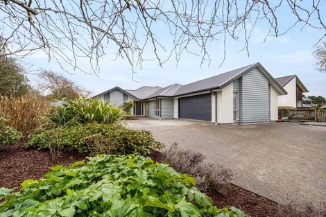 Photo of property in 5 Nautilus Place, Spencerville, Christchurch, 8083
