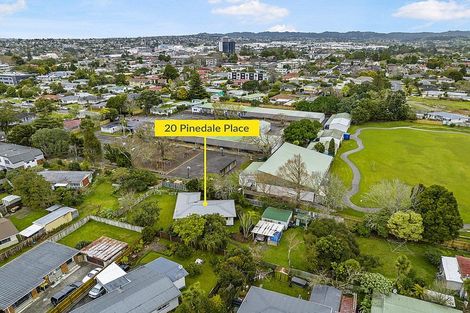 Photo of property in 20 Pinedale Place, Henderson, Auckland, 0610
