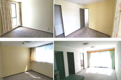 Photo of property in Dual Apartments, 108/142u Vivian Street, Te Aro, Wellington, 6011