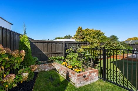 Photo of property in 3 Cartvale Drive, Marshland, Christchurch, 8051