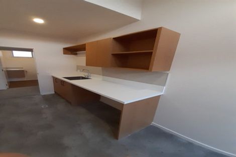 Photo of property in 395 Selwyn Street, Addington, Christchurch, 8024