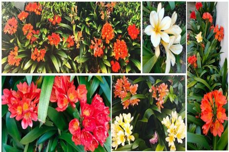 Photo of property in 57a Hautana Street, Woburn, Lower Hutt, 5010