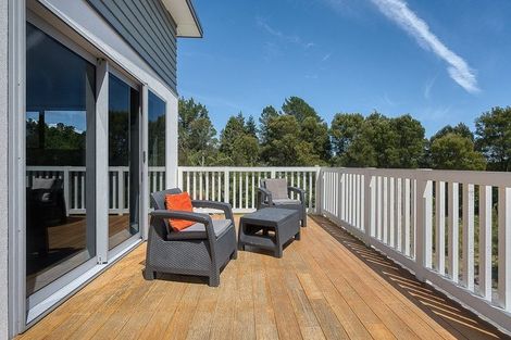 Photo of property in 91 Beach Road, Kakapotahi, Ross, 7885