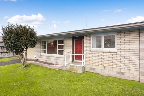 Photo of property in 163 Clarkin Road, Fairfield, Hamilton, 3214