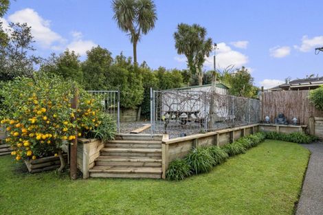 Photo of property in 19 Marire Drive, Ohauiti, Tauranga, 3112