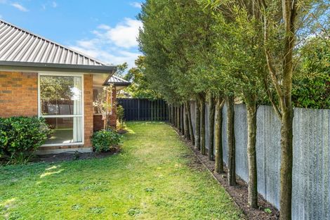 Photo of property in 2/45b Trafford Street, Harewood, Christchurch, 8051