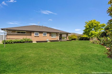 Photo of property in 11 Ngaio Street, Levin, 5510