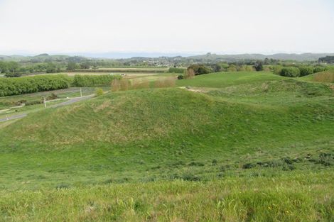 Photo of property in 209 Pourerere Road, Waipawa, 4271