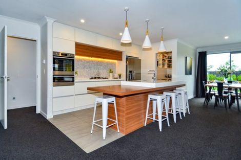 Photo of property in 23 Ledbury Drive, Rolleston, 7615