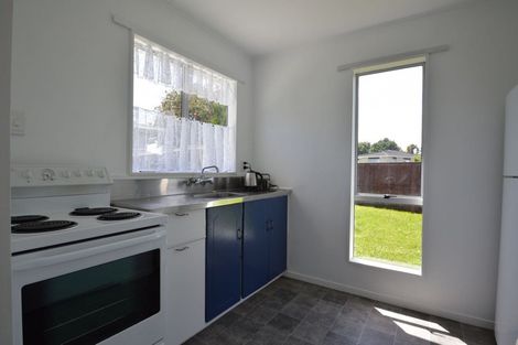 Photo of property in 38 Strathmore Avenue, Levin, 5510