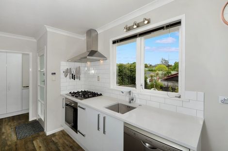 Photo of property in 22 Hatherlow Street, Glenfield, Auckland, 0629