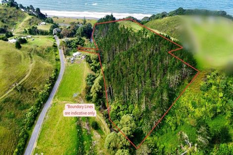 Photo of property in 761h State Highway 2 West, Pikowai, Matata, 3194