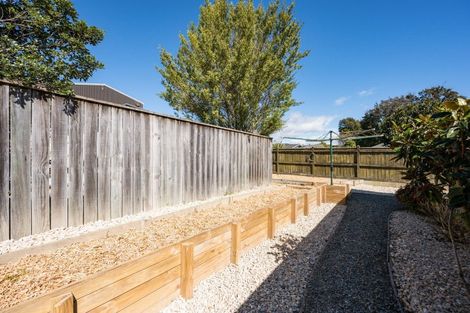 Photo of property in 175 Queen Street, Richmond, 7020