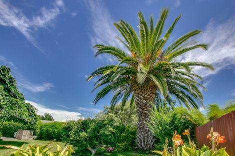 Photo of property in 7 Cambridge Terrace, Taradale, Napier, 4112