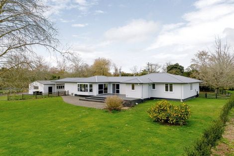 Photo of property in 1/193 Racecourse Road, Cambridge, 3493