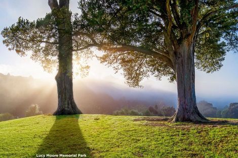 Photo of property in 51 Clayden Road, Warkworth, 0985