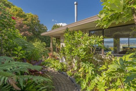 Photo of property in 62 Centennial Drive, Whitianga, 3510
