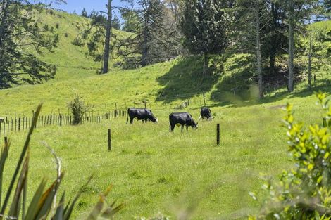Photo of property in 145 Peers Road, Omanawa, Tauranga, 3171
