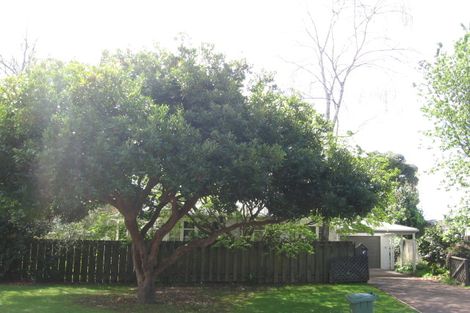 Photo of property in 175 Sixteenth Avenue, Tauranga South, Tauranga, 3112