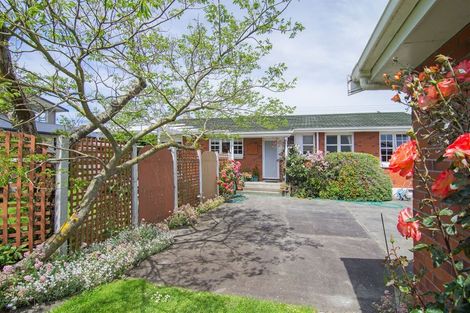 Photo of property in 12 Chamberlain Road, Masterton, 5810