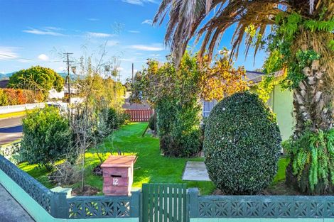 Photo of property in 12 Clay Street, Motueka, 7120