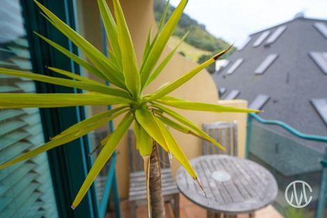Photo of property in 6 Adams Avenue, Mount Maunganui, 3116
