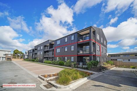 Photo of property in 101/28c Eileen Newey Place, Henderson, Auckland, 0612