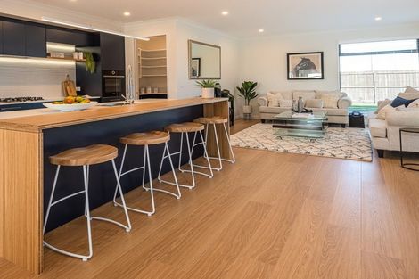 Photo of property in 127 Ed Hillary Drive, Rolleston, 7615