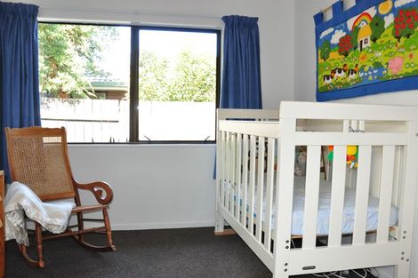Photo of property in 204a Vogel Street, Roslyn, Palmerston North, 4414