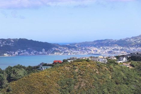 Photo of property in 46 Grumman Lane, Newlands, Wellington, 6037