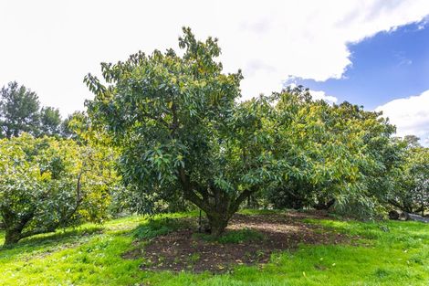 Photo of property in 231 Walford Road, Aongatete, Katikati, 3181