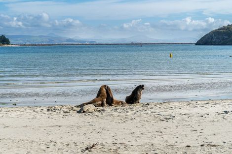 Photo of property in 940 Harington Point Road, Harington Point, Dunedin, 9077