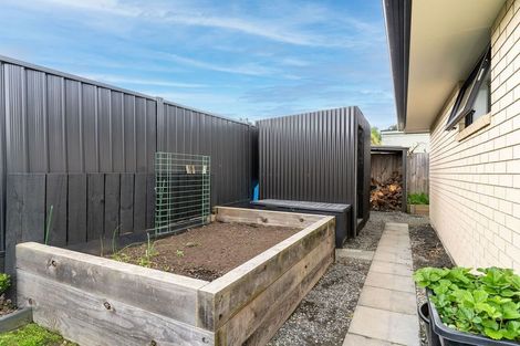 Photo of property in 217b Gladstone Road North, Mosgiel, 9024