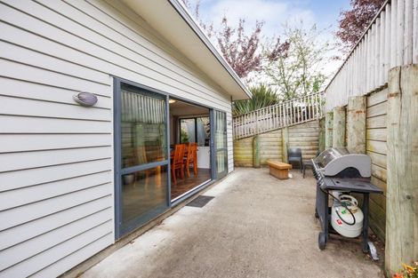 Photo of property in 56a Glasgow Terrace, Feilding, 4702