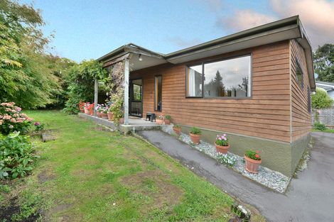 Photo of property in 12 Shand Street, Green Island, Dunedin, 9018
