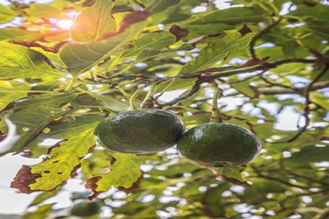 Photo of property in 66 Eden Street, Island Bay, Wellington, 6023