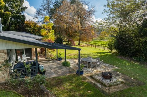 Photo of property in 213 Horahora Road, Piarere, Tirau, 3484
