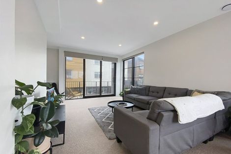 Photo of property in Aniva Terrace, 17 Arney Street, Newtown, Wellington, 6021
