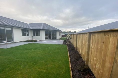 Photo of property in 37 Hart Road, Richmond, 7020