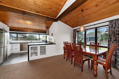 Photo of property in 17 Ellerslie Avenue, Chartwell, Hamilton, 3210