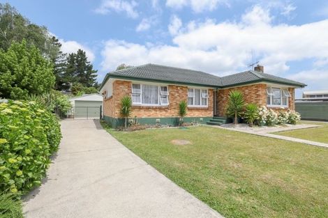 Photo of property in 81 Pine Avenue, Melville, Hamilton, 3206
