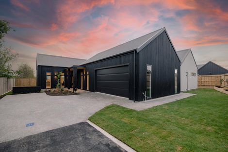 Photo of property in 161 Pharazyn Street, Maewa, Feilding, 4702