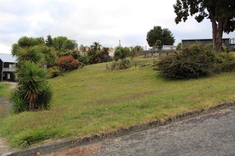 Photo of property in 13 Rimu Street, Mangakino, 3421