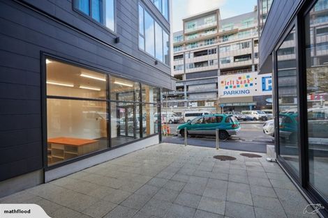 Photo of property in Vsp Nothern Tower, 166c1 Victoria Street, Te Aro, Wellington, 6011