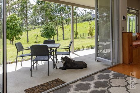 Photo of property in 589 Inland Road, Helensville, 0875