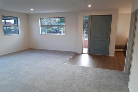 Photo of property in 395 Selwyn Street, Addington, Christchurch, 8024