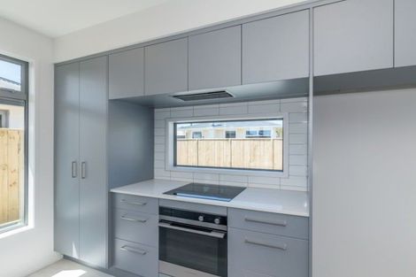 Photo of property in 19a Trafalgar Street, Levin, 5510