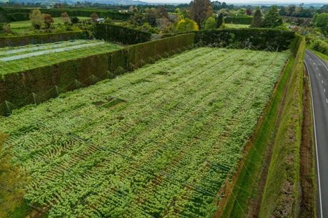 Photo of property in 706 No 1 Road, Te Puke, 3182