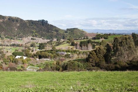 Photo of property in 78 Packtrack Road, Thames, 3577